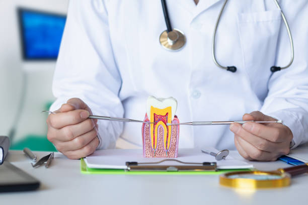 Best Knocked-Out Tooth Emergency  in Palo Cedro, CA